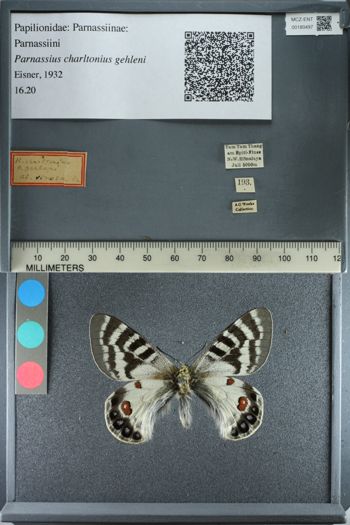 Media type: image;   Entomology 180497